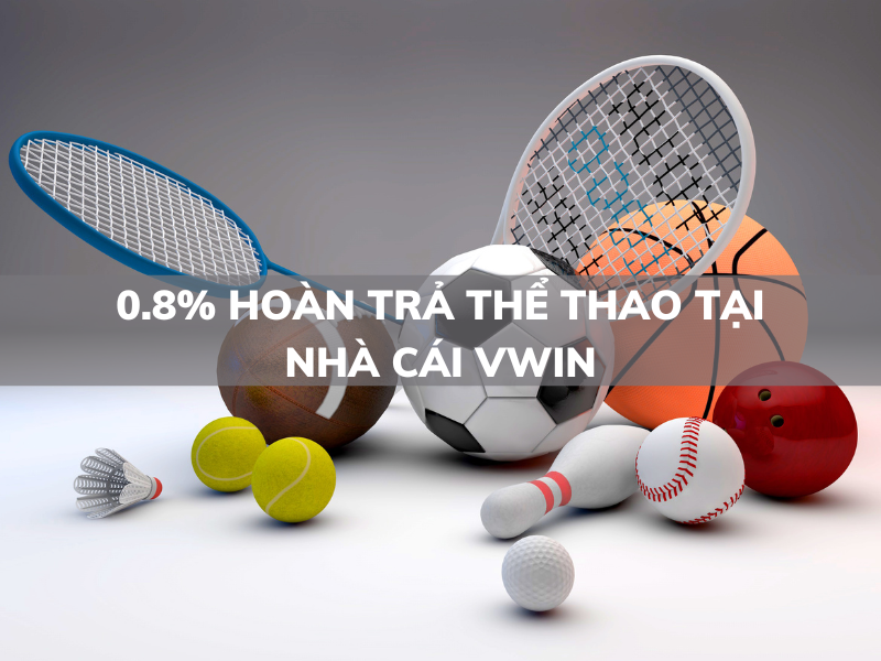 0.8% hoàn trả thể thao vwin 1 0.8% hoàn trả thể thao vwin
