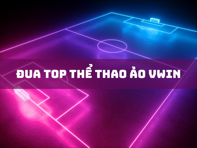 dua-top-the-thao-ao-vwin