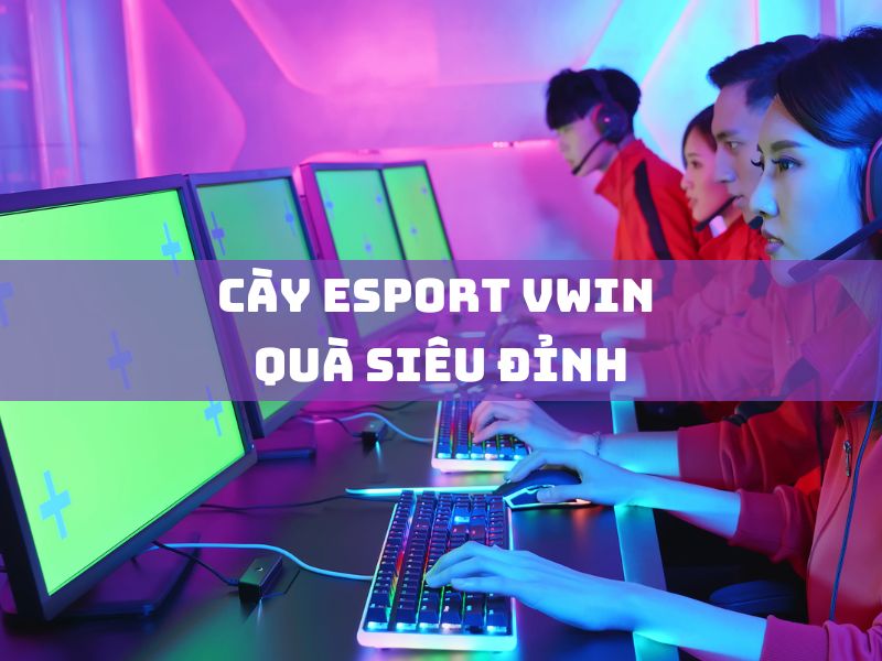 cày esport vwin quà siêu đỉnh